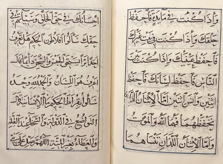 401-صورة مخطوط التذكرة الهروية في الحيل الحربية هامش