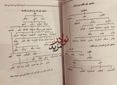 اصدق الدلائل في انساب بني وائل قبائل عنزة تاريخها وانسابها/عبدالله العنزي