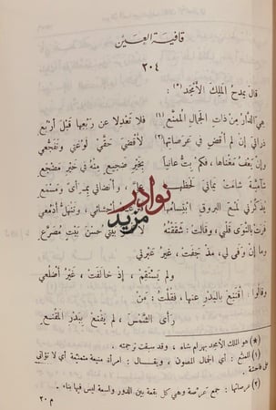 ديوان الصاحب شرف الدين الانصاري/عمر موسى