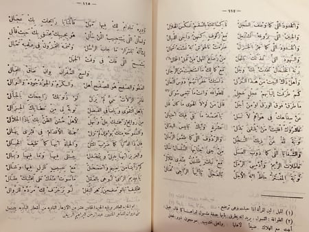 9340- الازهار النادية من اشعار البادية ج 10