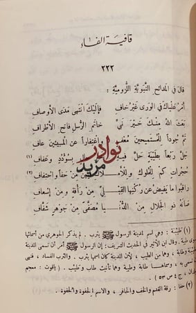 ديوان الصاحب شرف الدين الانصاري/عمر موسى