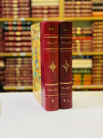 95-الكامل في اللغة والادب والنحو والتصريف3/1مجلدين