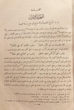 20604-تبيين المعاني في شرح ديوان ابن هاني الاندلسي /زاهد علي