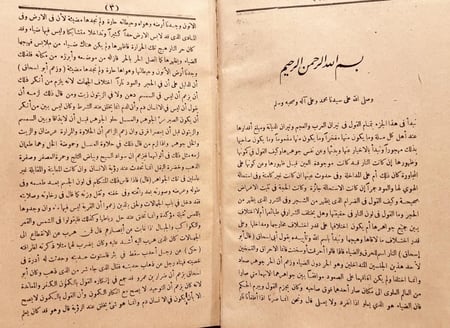 18791-الحيوان 7/1 مجلدين / الجاحظ