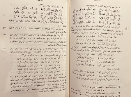 11711-صحيح الاخبار عما في بلاد العرب من الاثار 5/1 مجلدين /محمد بن بليهد