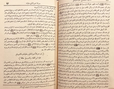 18870-ايقاظ همم اولي الأبصار للاقتداء بسيد المهاجرين والانصار/صالح الفلاني