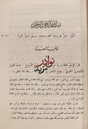 ديوان الصاحب شرف الدين الانصاري/عمر موسى