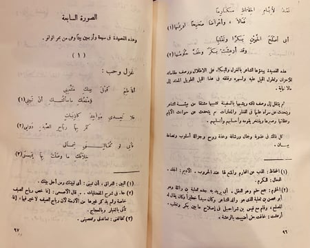 9346-شخصيات عربية من شعراء الخليج العربي المثقب العبدي-محمد خفاجي