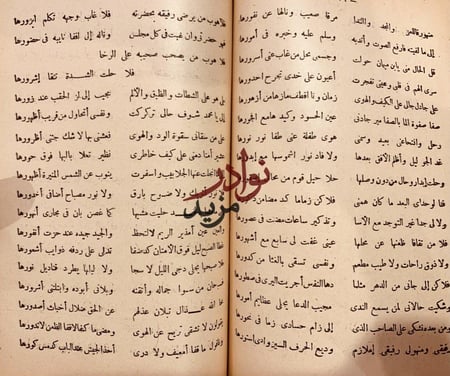 الازهار النادية من اشعار البادية ج11