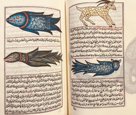 396-صورة مخطوط عجائب المخلوقات وغرائب الموجودات تجليد هامش /الغزويني