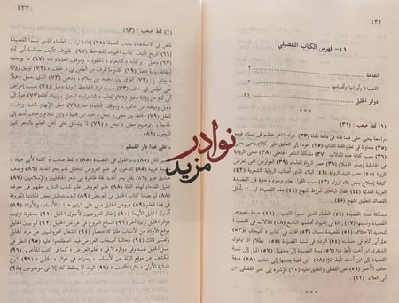 نمط صعب ونمط مخيف/محمود شاكر