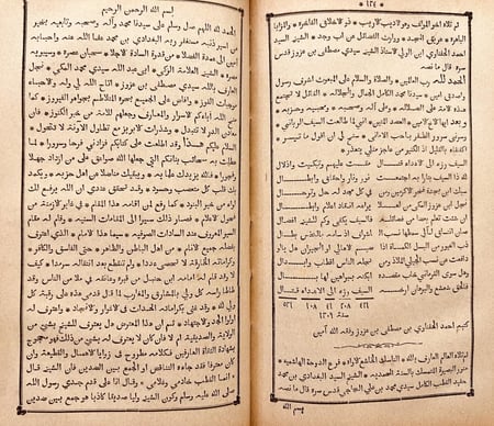 873-السيف الرباني في عنق المعترض على الغوث الجيلاني /محمد المكي ابن عزوز