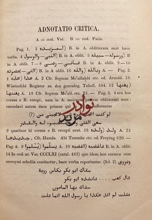 شرح بانت سعاد /ابن هشام الانصاري