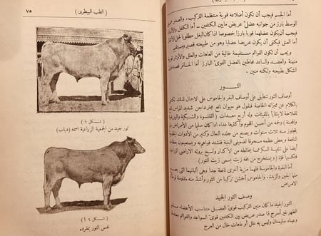 18189-الطب البيطري /عبدالعزيز نعماني