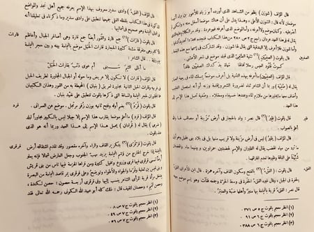 11711-صحيح الاخبار عما في بلاد العرب من الاثار 5/1 مجلدين /محمد بن بليهد