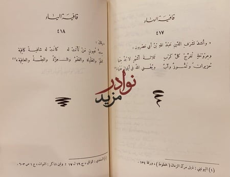 ديوان الصاحب شرف الدين الانصاري/عمر موسى