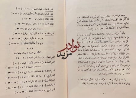 نمط صعب ونمط مخيف/محمود شاكر