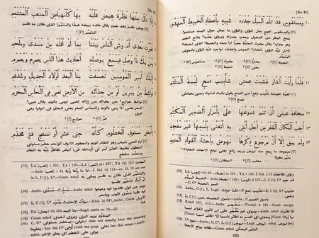 404-ديوان شعر ذي الرمة غيلان العدوي/كارليل مكارتني