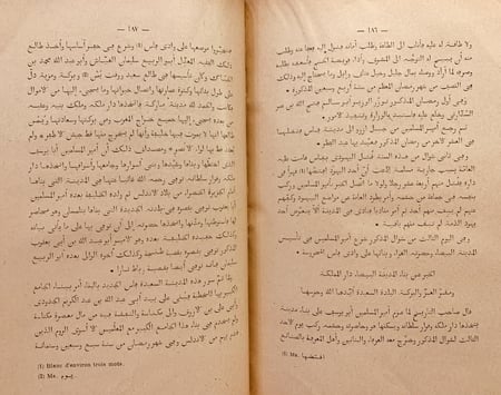 18177-الذخيرة السنية في تاريخ الدولة المرينية/محمد ابي شنب