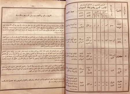 N20-تقويم البلدان -عمادالدين بن شاهنشاه