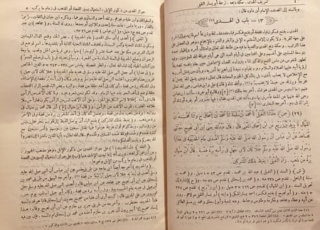 3928-المنهل العذب المورود شرح سنن ابي داود 8/1 مع تكملة المنهل العذب المورود/السبكي