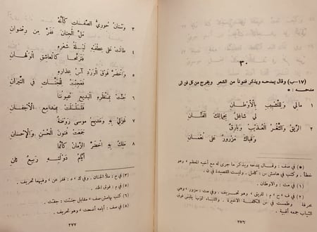 367/13574-ديوان ابن النبيه المصري/كمال الدين ابي الحسن
