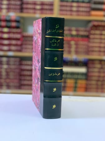 322-مجموعة كتب في اللغة 14/الحلبة في اسماء الخيل/فائت الحلبة/غلط الضعفاء/المتوارين/علم الشرق وتاريخ العمران/نسب عدنان وقحطان/رسالة ياقوت الحموي/البلاغة/فتيا فقيه العرب/رسالتان لابن حبيب/قصيدة انيف/الاتباع والمزاوجة/رسالة الخط والقلم/حلقة بحث الخط العربي