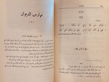 1033-ديوان الواواء الدمشقي/سامي الدهان