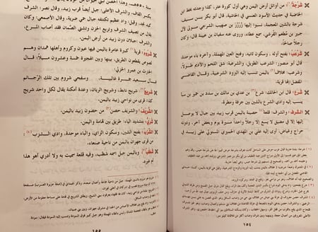 13021-البلدان اليمانية عند ياقوت الحموي/اسماعيل الاكوع