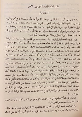 194-ديوان الاعشى الكبير ميمون بن قيس