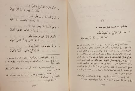367/13574-ديوان ابن النبيه المصري/كمال الدين ابي الحسن