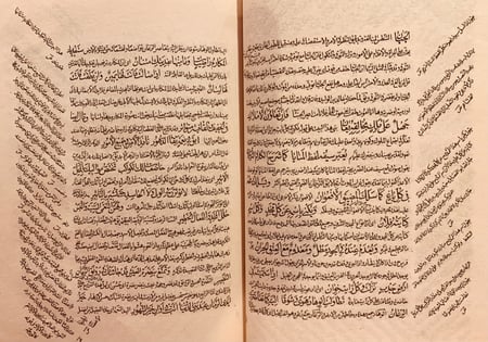 8808- التنوير على سقط الزند /ابي العلاء المعري