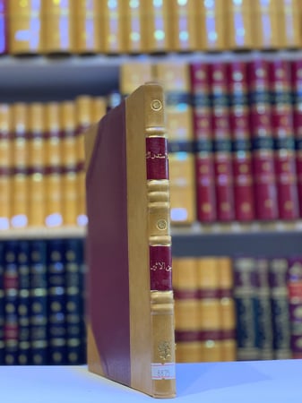 8875-الاستدراك في الرد على رسالة ابن الدهان-ضياء الدين بن الاثير