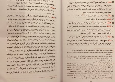 13021-البلدان اليمانية عند ياقوت الحموي/اسماعيل الاكوع