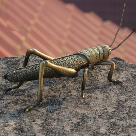 هدايا تراثية - تحفة الجرادة