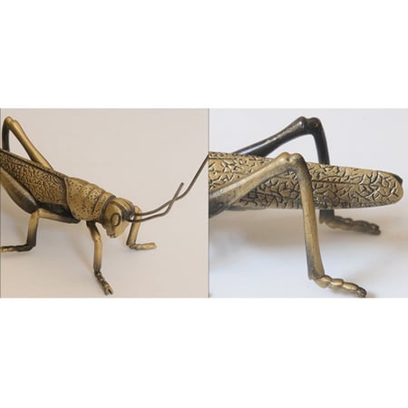 تحفة الجرادة