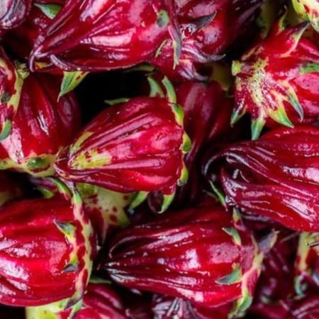 كركديه زيت عطري