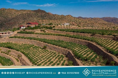 هايكنج المزرعة