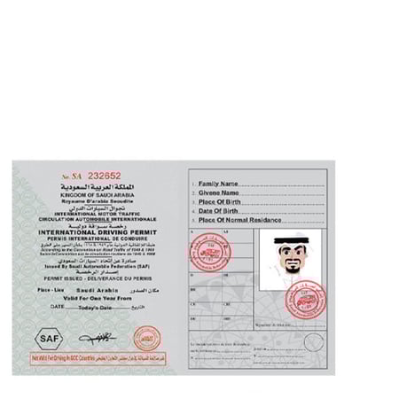 القيادة الدولية