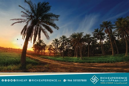 الاحساء