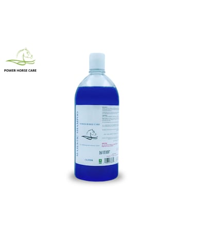 شامبو ماجيستك