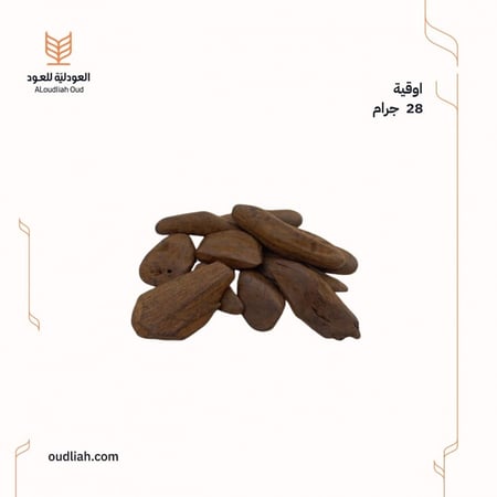 المناسبات ~ مروكي محسن