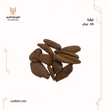 المناسبات ~ مروكي محسن