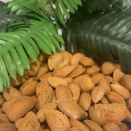لوز بجلي ( غضاريف ) نصف  كيلوا