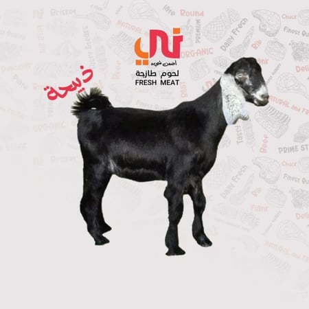 ذبيحة تيس عارضي بلدي طازجة 8-9 كيلو