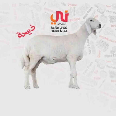 ذبيحة حري جدع بلدي طازجة الوزن التقريني 25-30 كيلو