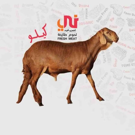 لحم غنم سواكني  طازج (كيلو)