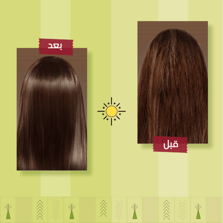 شامبو أشري بزبدة الشيا