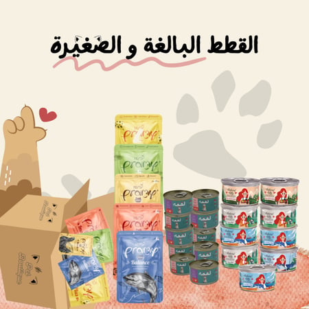 باكج طعام رطب للقطط الصغيرة والكبيرة