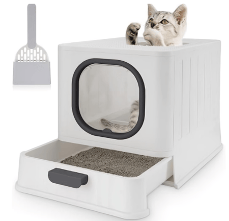 صندوق رمل مع مجرفة قابل للطي للقطط 2.5كجم